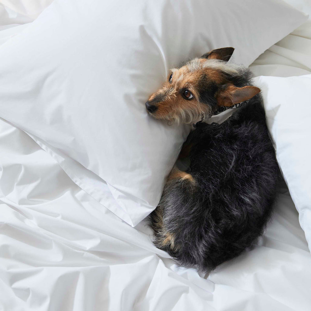 Classic Percale Duvet Cover